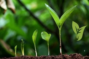 How to Stop Overthinking in 2025: Proven Strategies for Mental Clarity 3 Counseling in Boca Raton