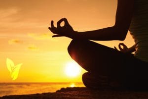 Counselors Boca Raton Florida