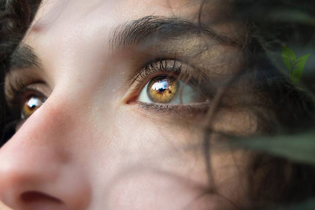 Therapy EMDR